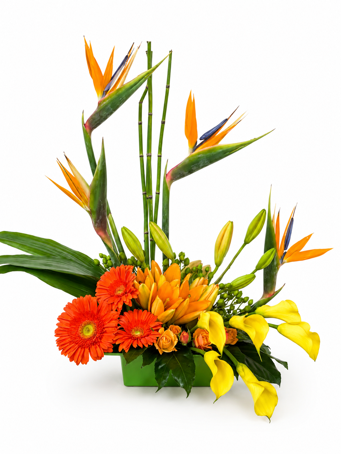 Colorful floral arrangement with bird of paradise, orange daisies, orange tulips and yellow lilies on a white background