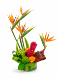 Tropical flower arrangement with birds of paradise red ginger, and orange roses in a clear vase on a white background